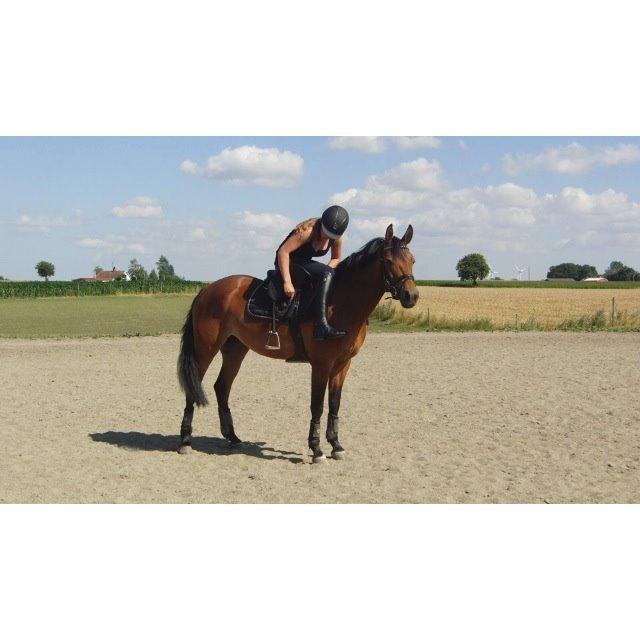 DSP Thorups's De-Venti billede 7