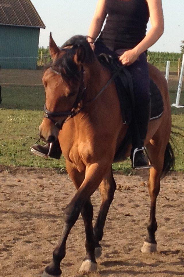 DSP Thorups's De-Venti billede 6