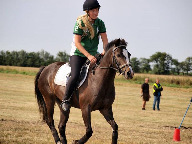 {{currentPhoto.altText}} billede {{currentPhoto.number}}