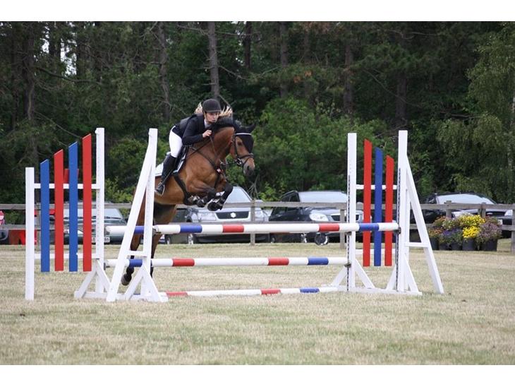 {{currentPhoto.altText}} billede {{currentPhoto.number}}