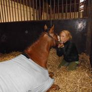 Anden særlig race Blue eyes<33!(tidl. part:')