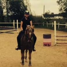 Quarter Our Mr Hollywood (Woody)