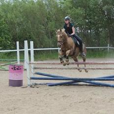 Quarter Our Mr Hollywood (Woody)