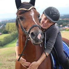 Tysk Sportspony Premiat (prop)