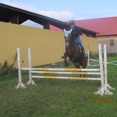 New Forest Bøgelys Jasmin