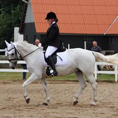 Anden særlig race Kinggårdens Duchess