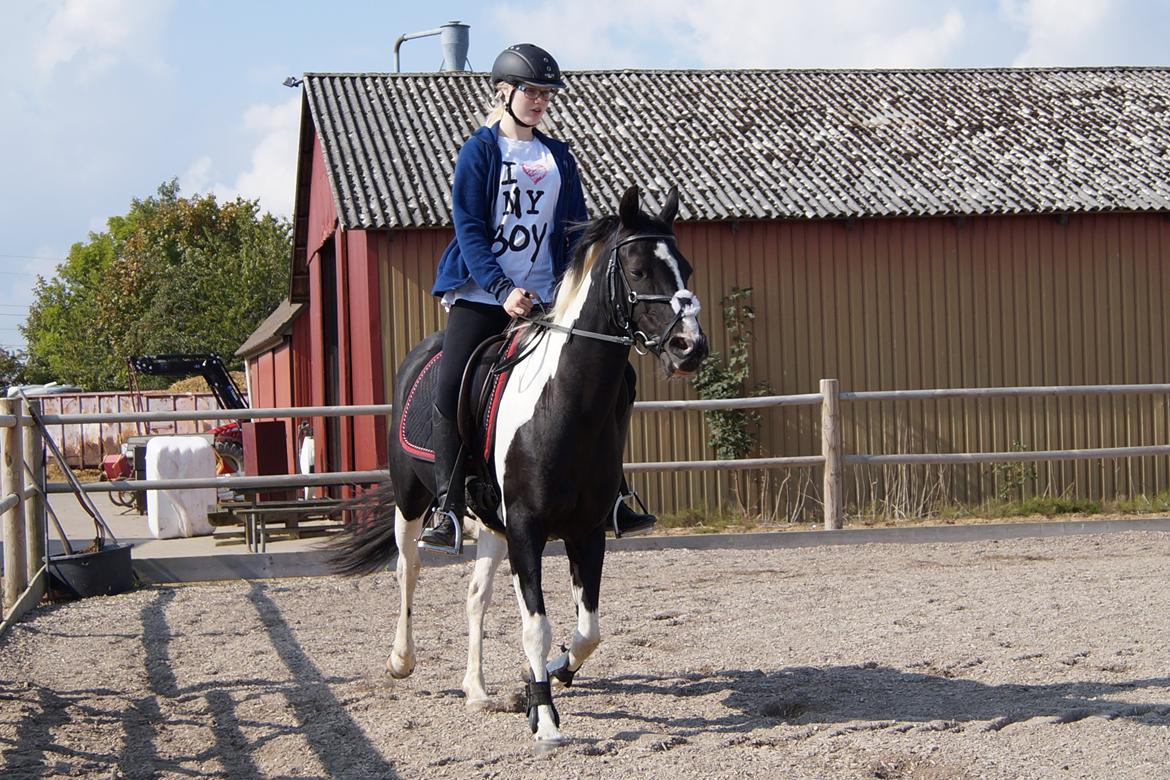 Paint Eskelunds Helga <3  billede 43