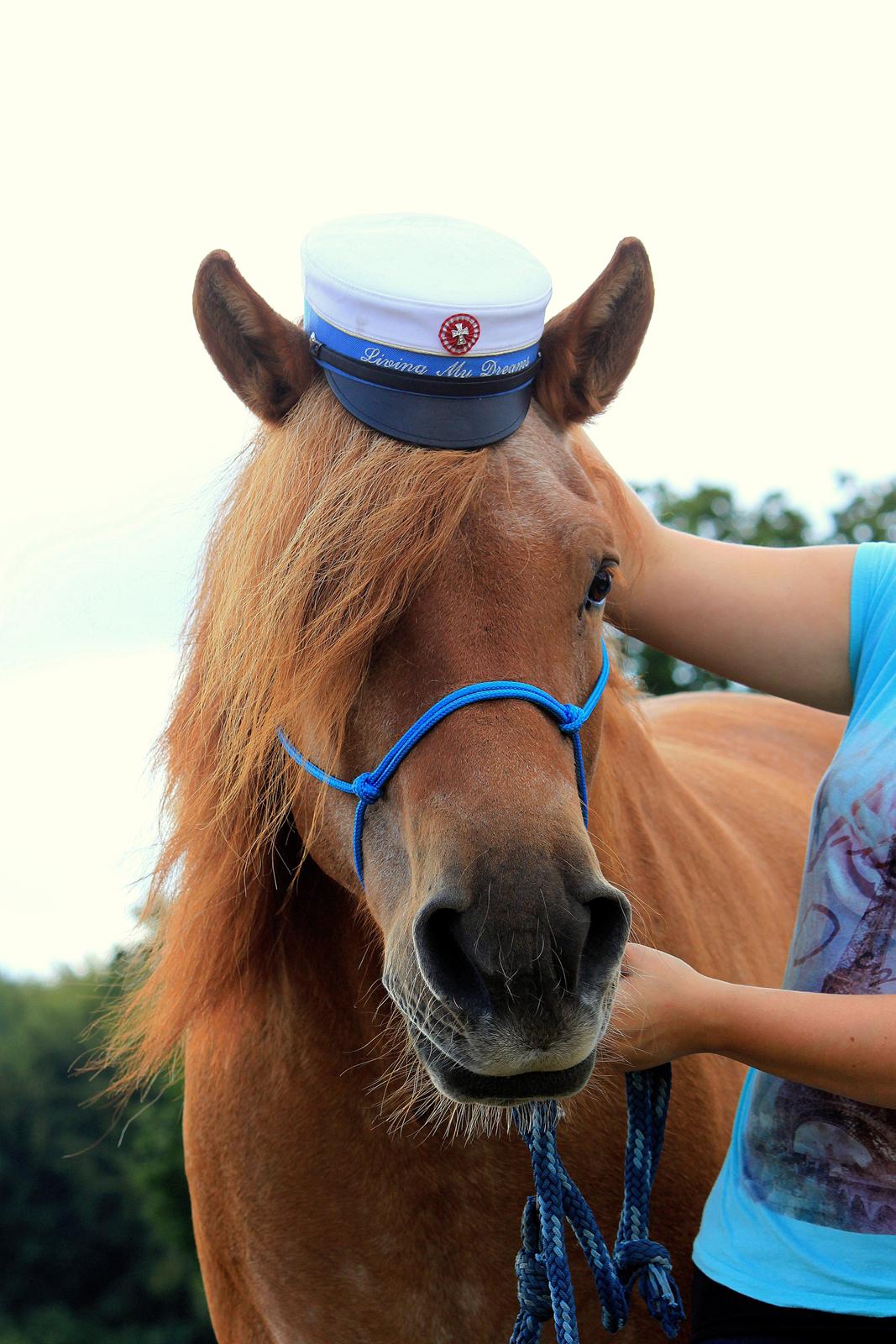 Anden særlig race Tex - År 2014's smukkeste student! <3 billede 3