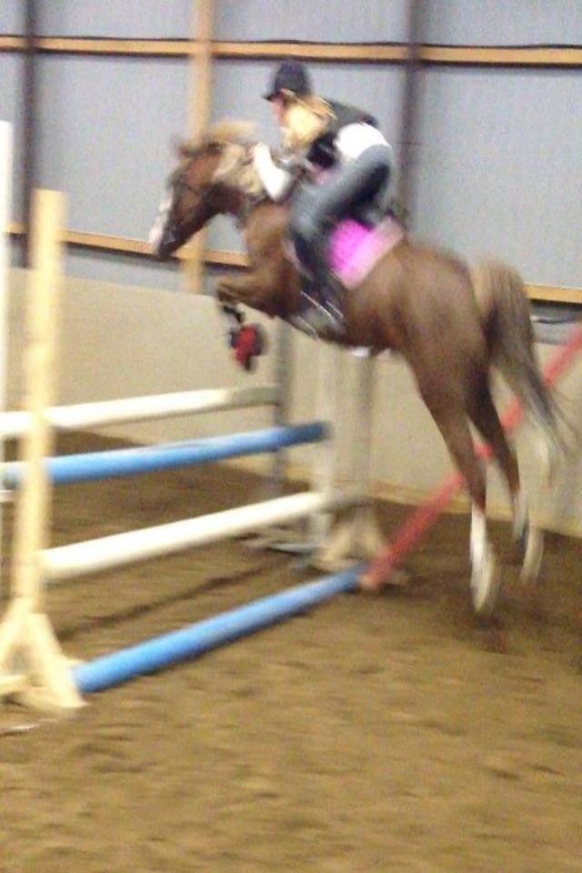 Anden særlig race Lac Lemon Lakriz ( soulmate) billede 16