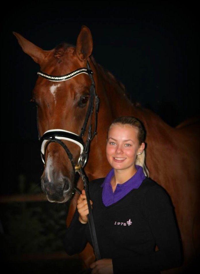 Dansk Varmblod Revaldo D.  billede 43