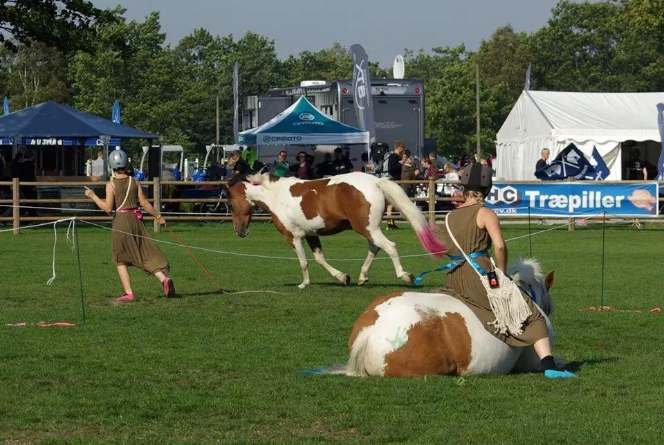 Pinto Padmé - My Soulmate billede 18