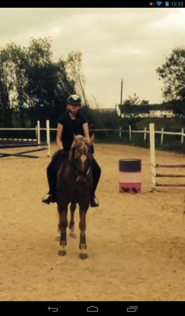 Quarter Our Mr Hollywood (Woody) billede 1