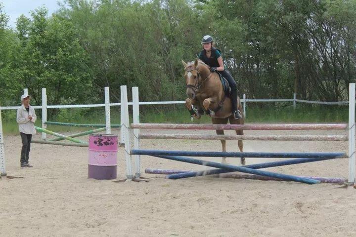 Quarter Our Mr Hollywood (Woody) billede 4