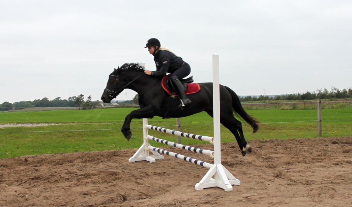 DSP Bakkegaarden's Mrs Magic billede 16