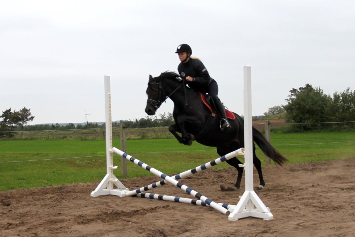 DSP Bakkegaarden's Mrs Magic billede 18