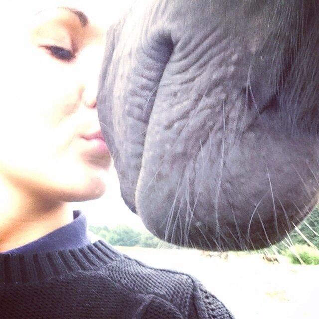 Oldenborg Apollo billede 1