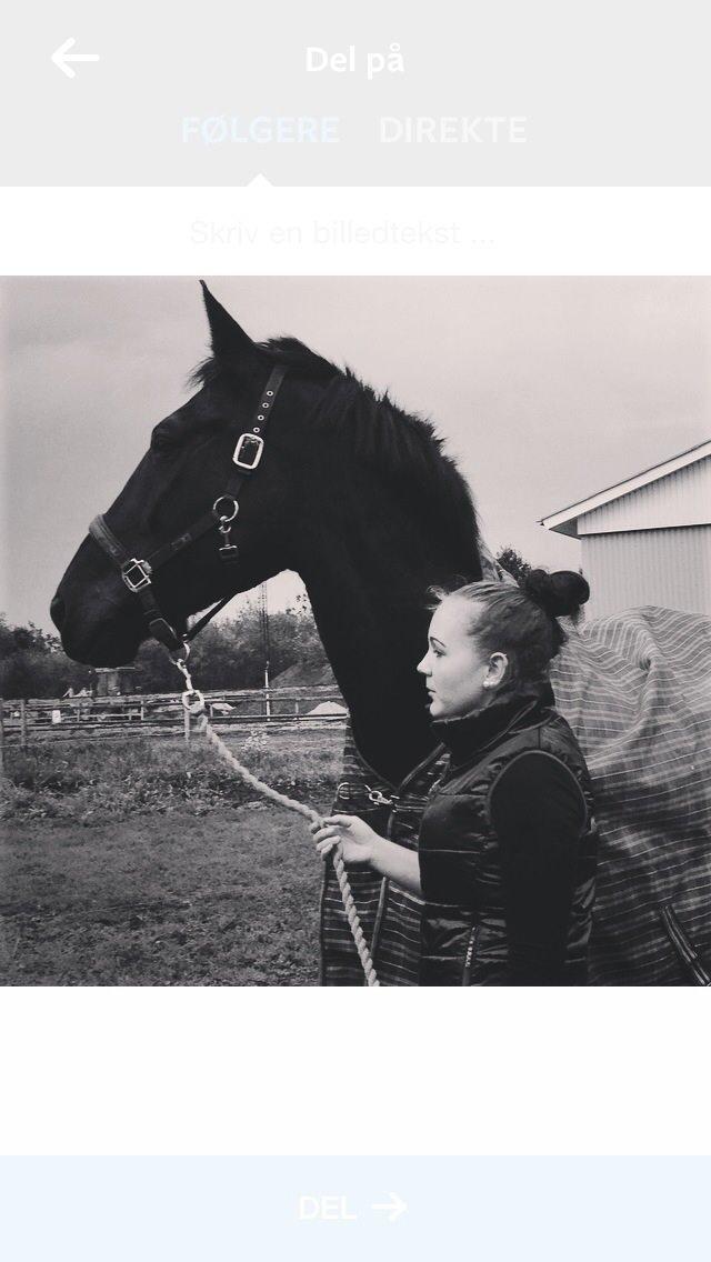 Oldenborg Apollo billede 5