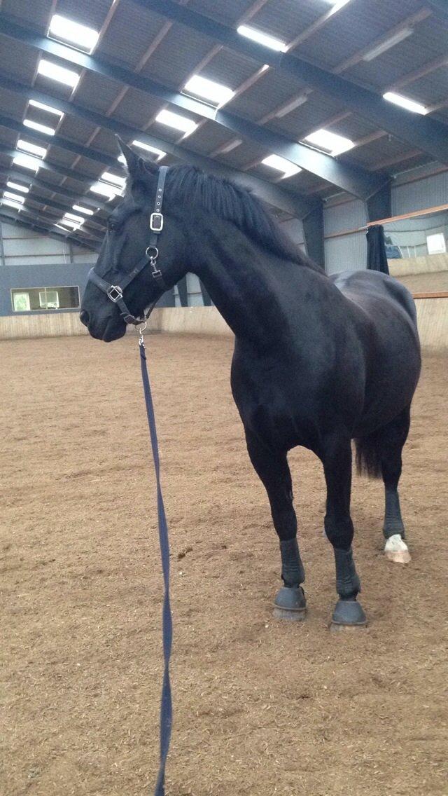 Oldenborg Apollo billede 8