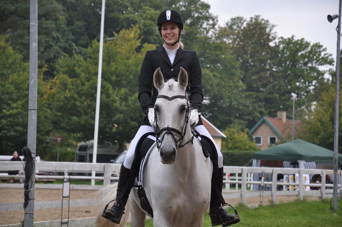 Anden særlig race Raya billede 1