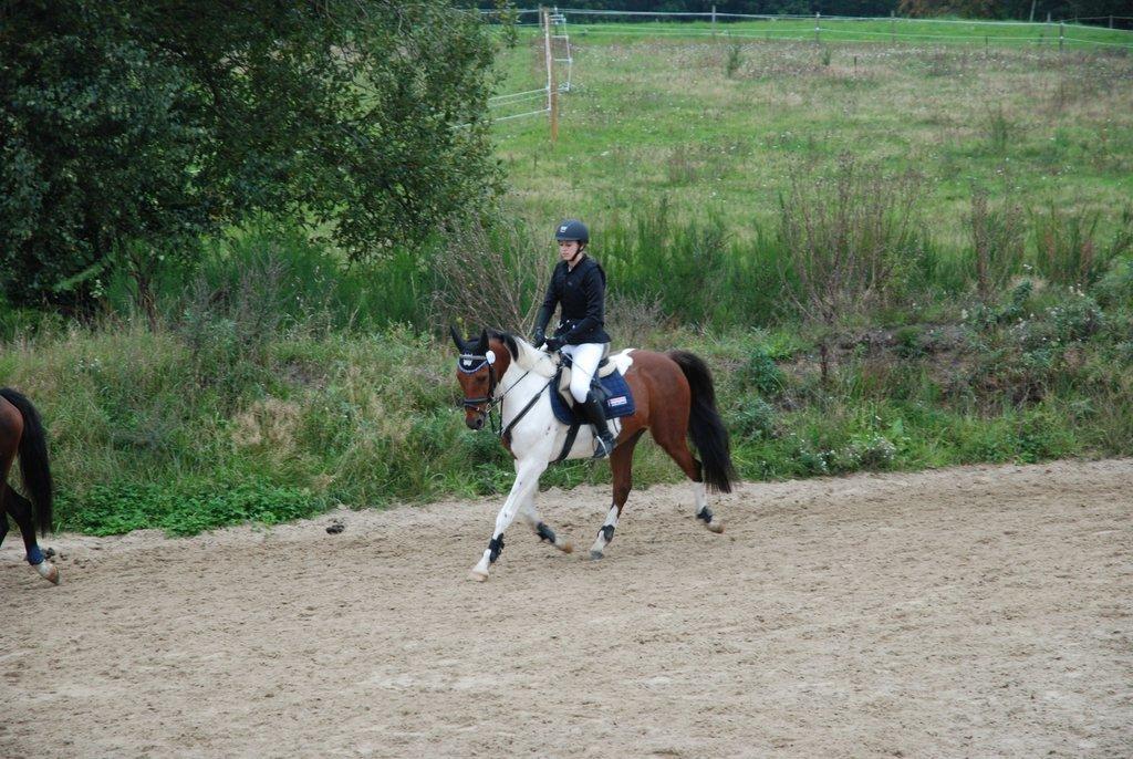 Pinto The indian boy - Opvarmning til C-stævne på VIR billede 7