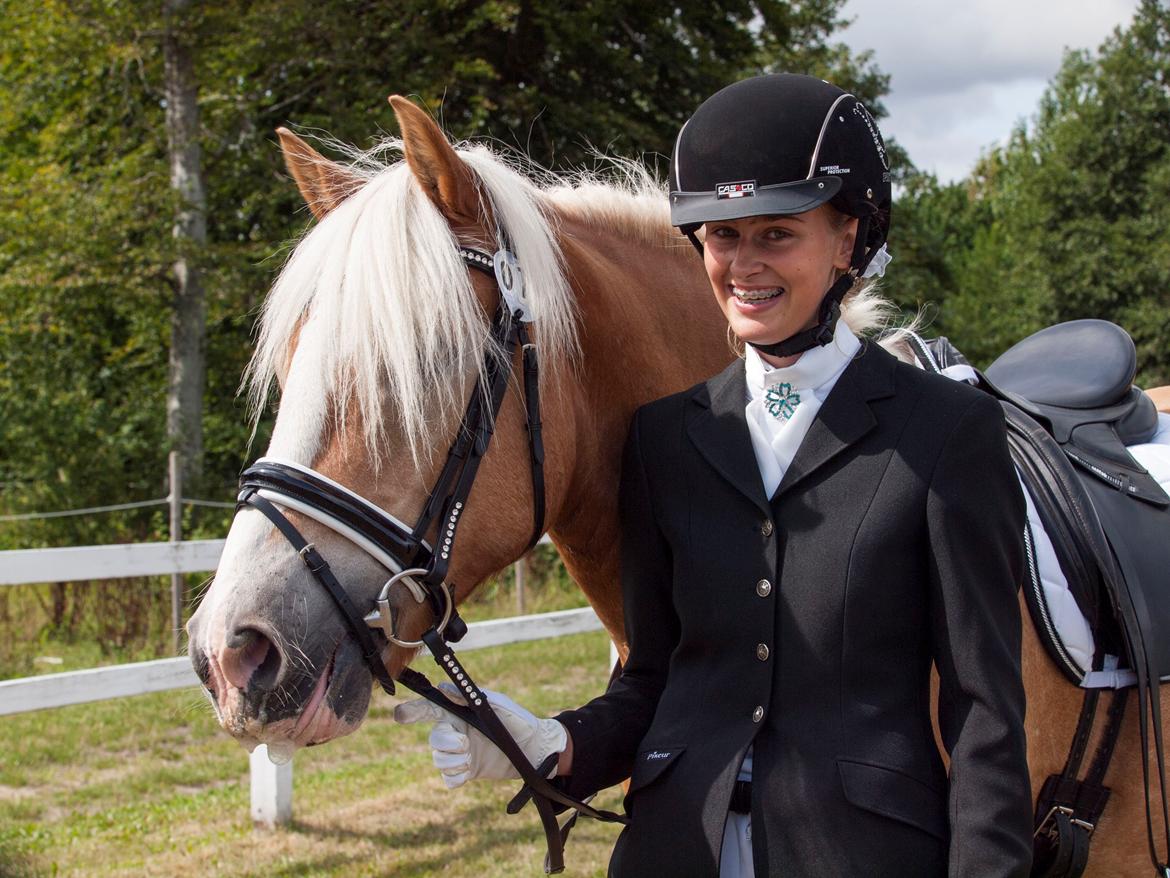 Haflinger Waldy - Dm lørdag :) billede 3