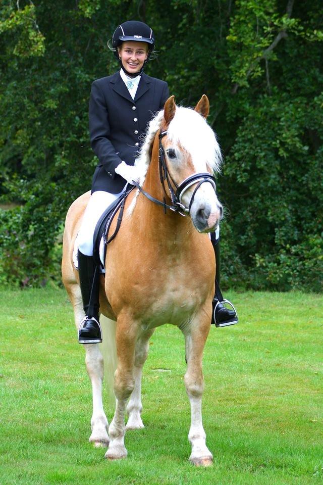 Haflinger Waldy - DM lørdag :) billede 4