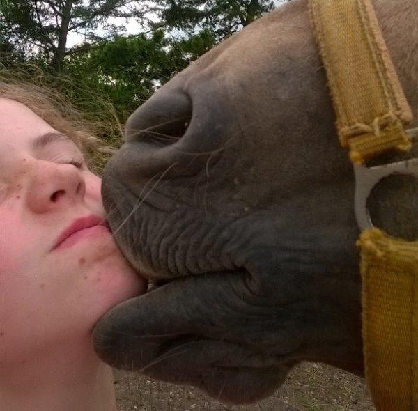 Quarter Our Mr Hollywood (Woody) billede 12