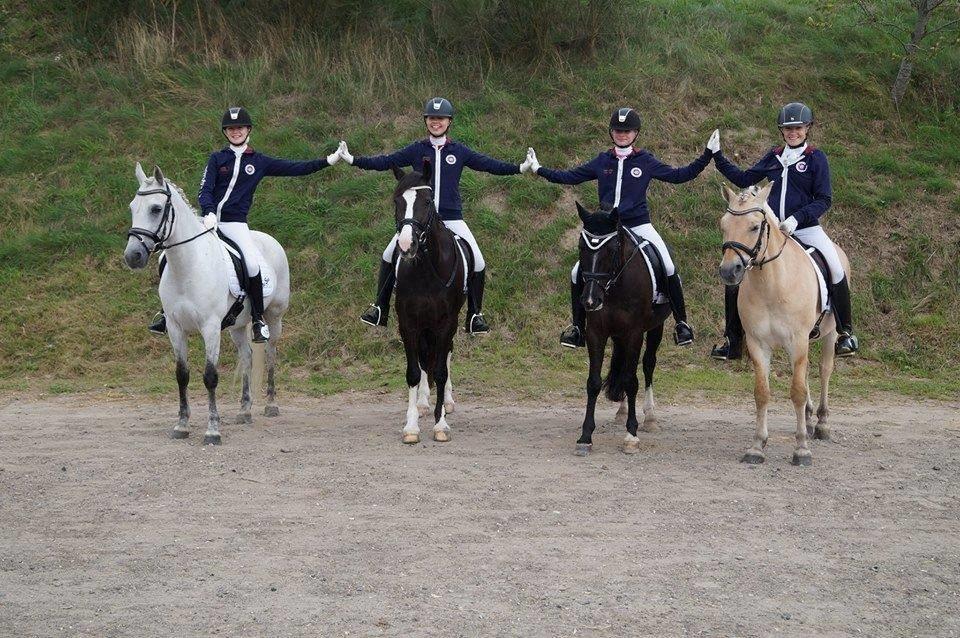 Anden særlig race Lilleprins - Hold DM 2014 billede 16