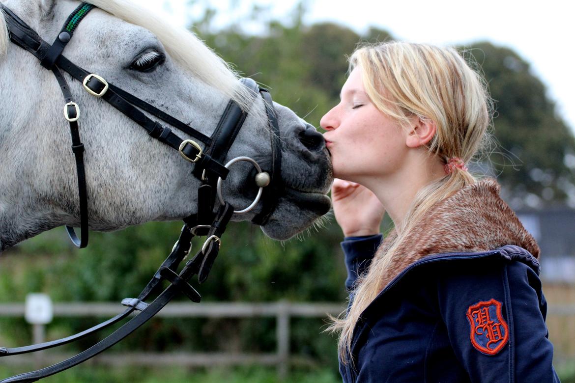 Connemara BELL PRINCE - 1. Klasse Avls Hingst ''Prins'' billede 17