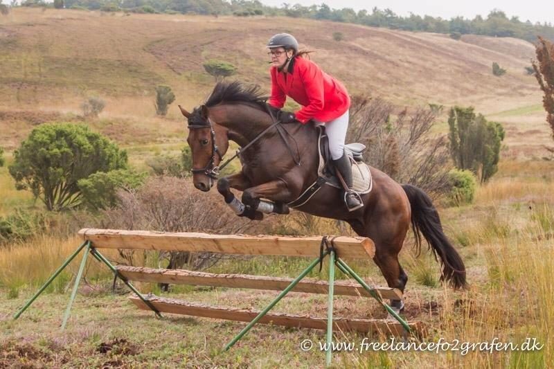 Anden særlig race Santos billede 1