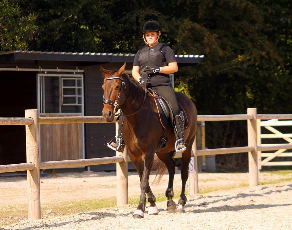 DSP Nørlunds Miss Tanna billede 16