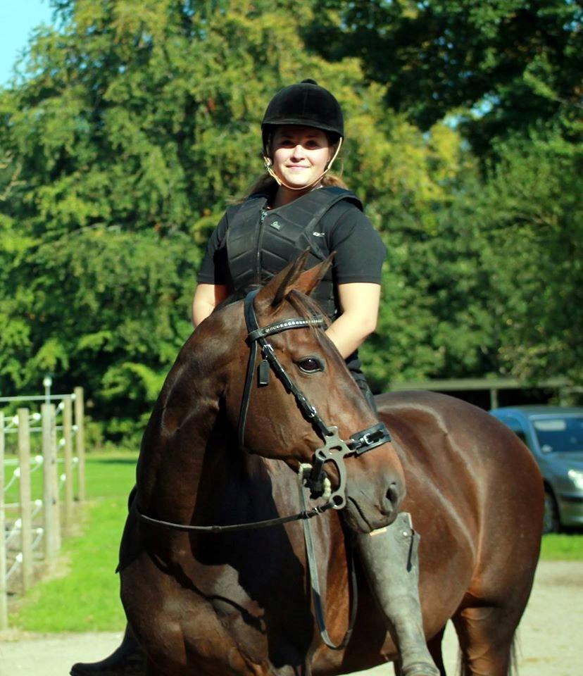 DSP Nørlunds Miss Tanna billede 3