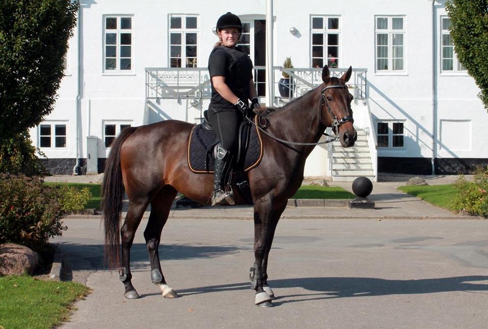 DSP Nørlunds Miss Tanna billede 21