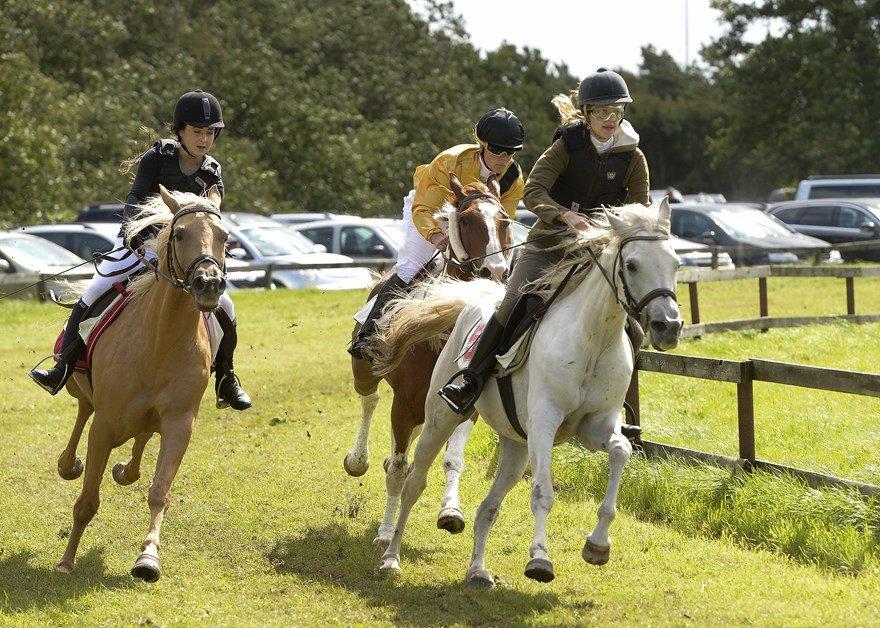 Arabisk fuldblod (OX) WISDOMS WEEDAA  - Weedaa rider os ind på en sikker 1.plads til Pandrupløbet 2014!<3 billede 1