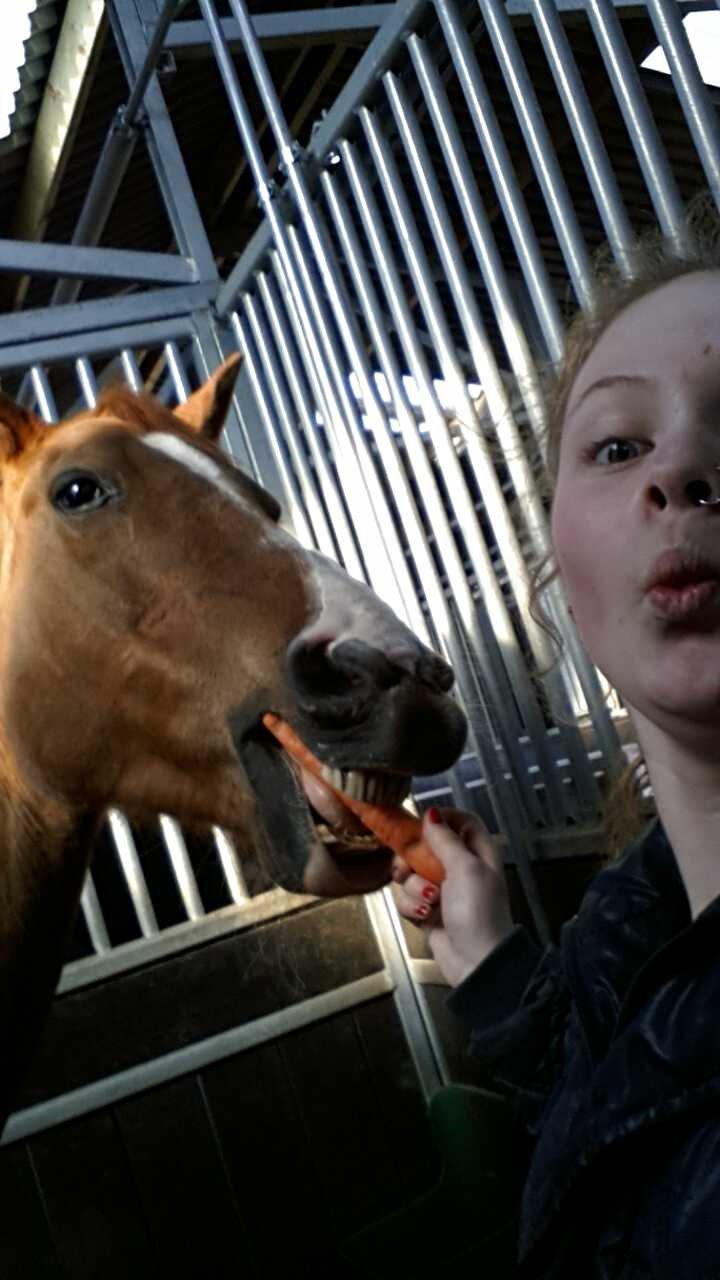 Anden særlig race Sascha billede 14