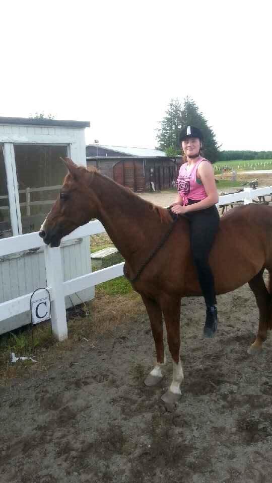 Anden særlig race Sascha - Juni 2014. billede 20