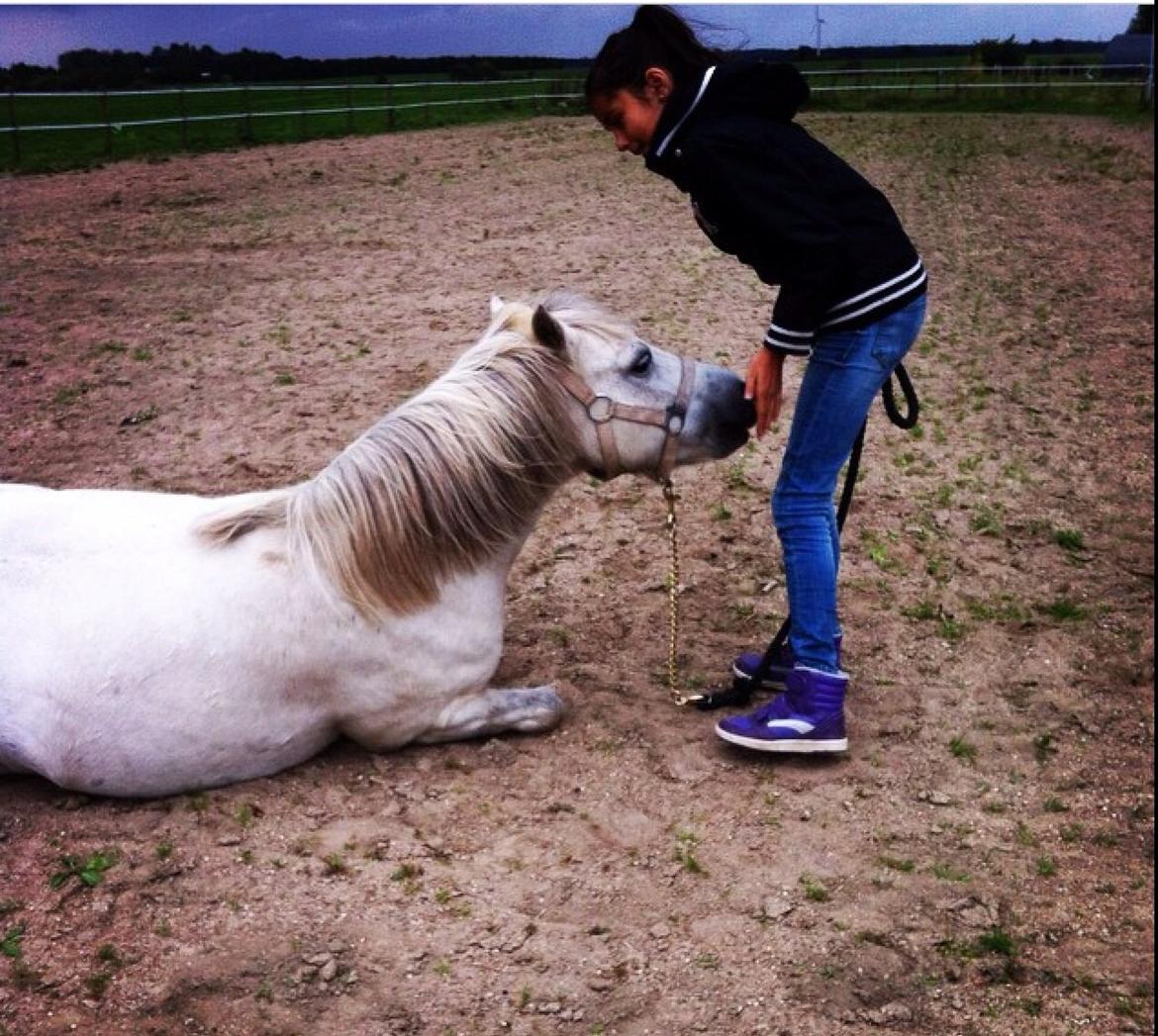 Anden særlig race Smil smilla<3 - smilla ligger sig på komando<3 billede 19