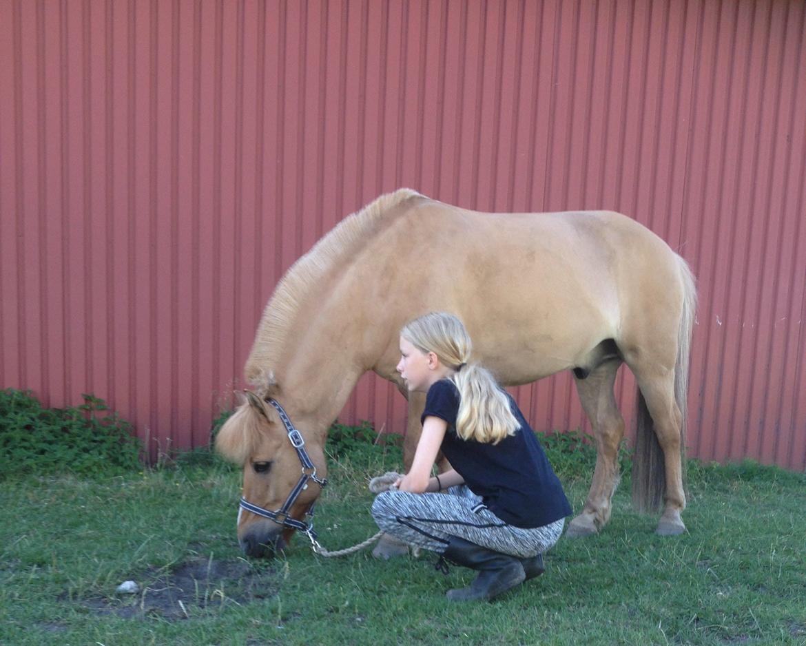 Anden særlig race Frederik billede 5