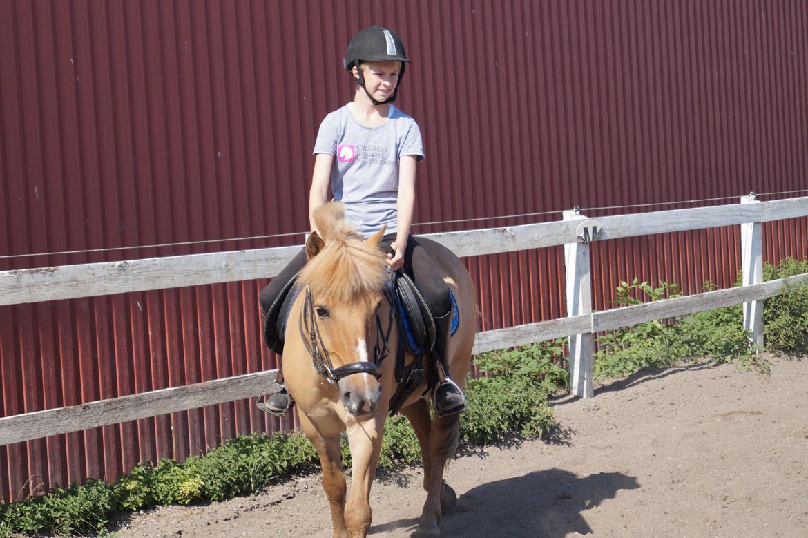 Anden særlig race Frederik billede 10