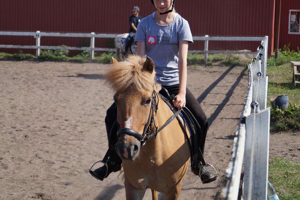 Anden særlig race Frederik billede 11
