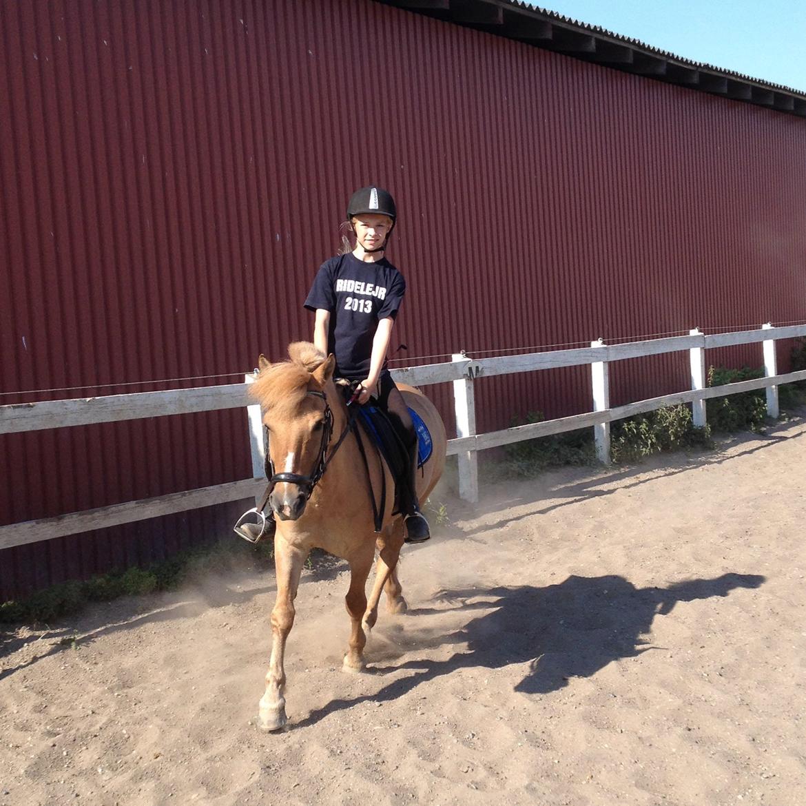 Anden særlig race Frederik billede 14