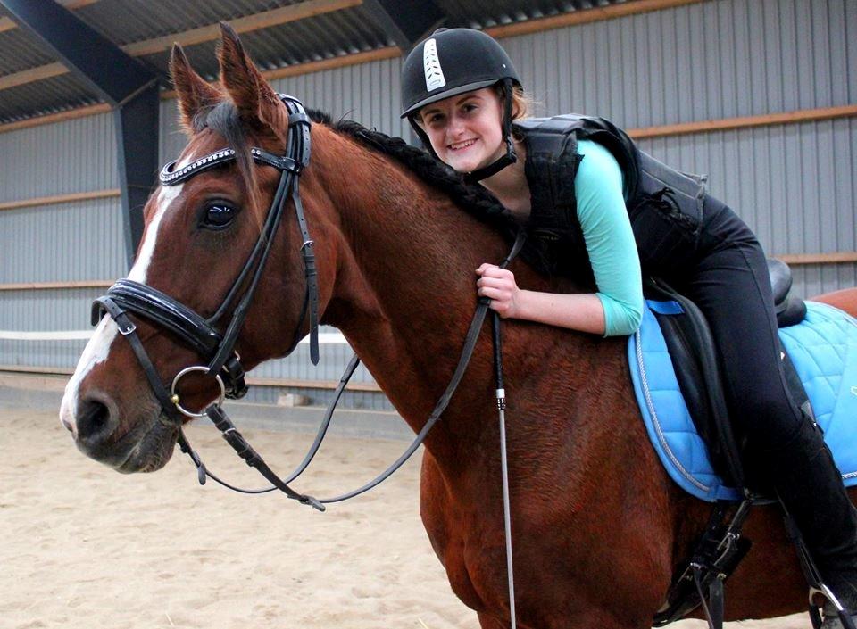 Arabisk fuldblod (OX) Grafik billede 4