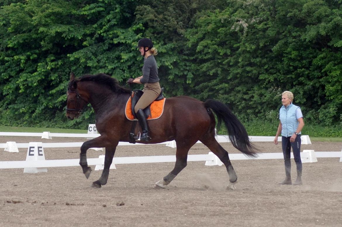 Oldenborg Kalle - Undervisning hos Ina Zetterstrøm billede 5