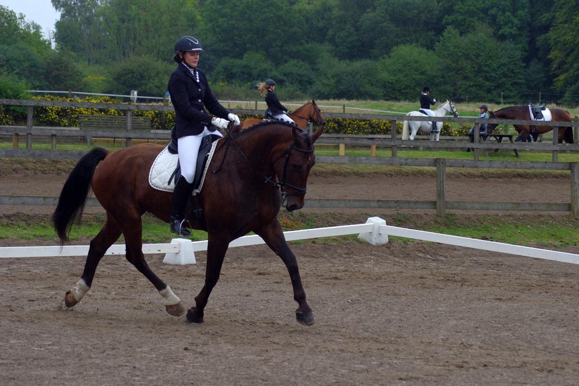 Oldenborg Kalle - Første LC2 og stævne på STRK billede 13