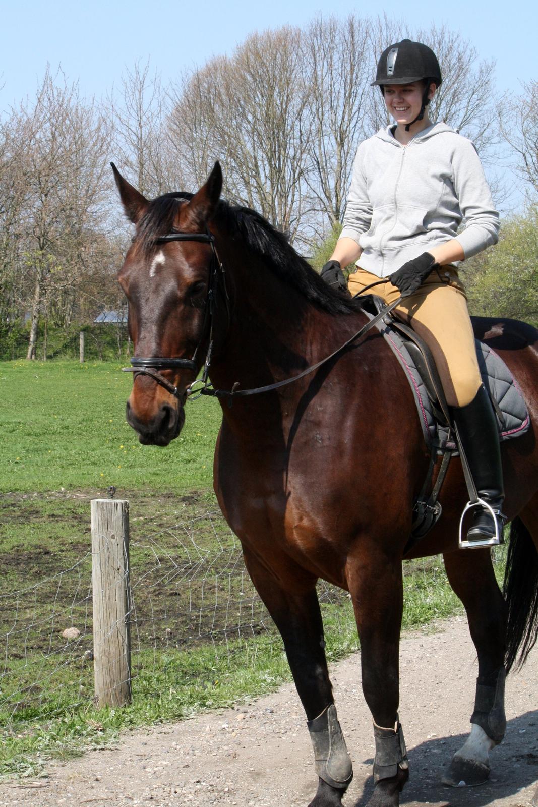 Oldenborg Kalle - Min smukke dreng! billede 20