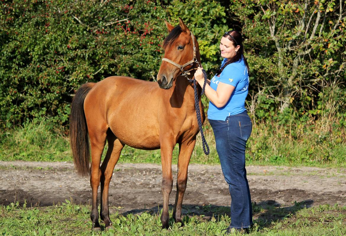 Dansk Varmblod Angel of music (SOLGT) *For evigt elsket <3* - NYT: På tur med Angel :) billede 33