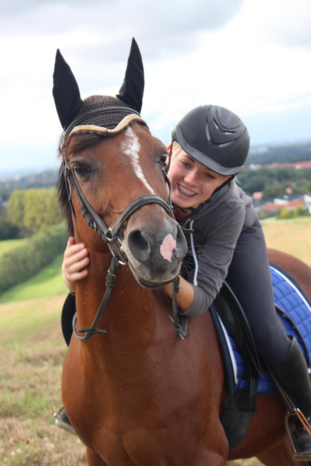 Tysk Sportspony Premiat (prop) billede 2