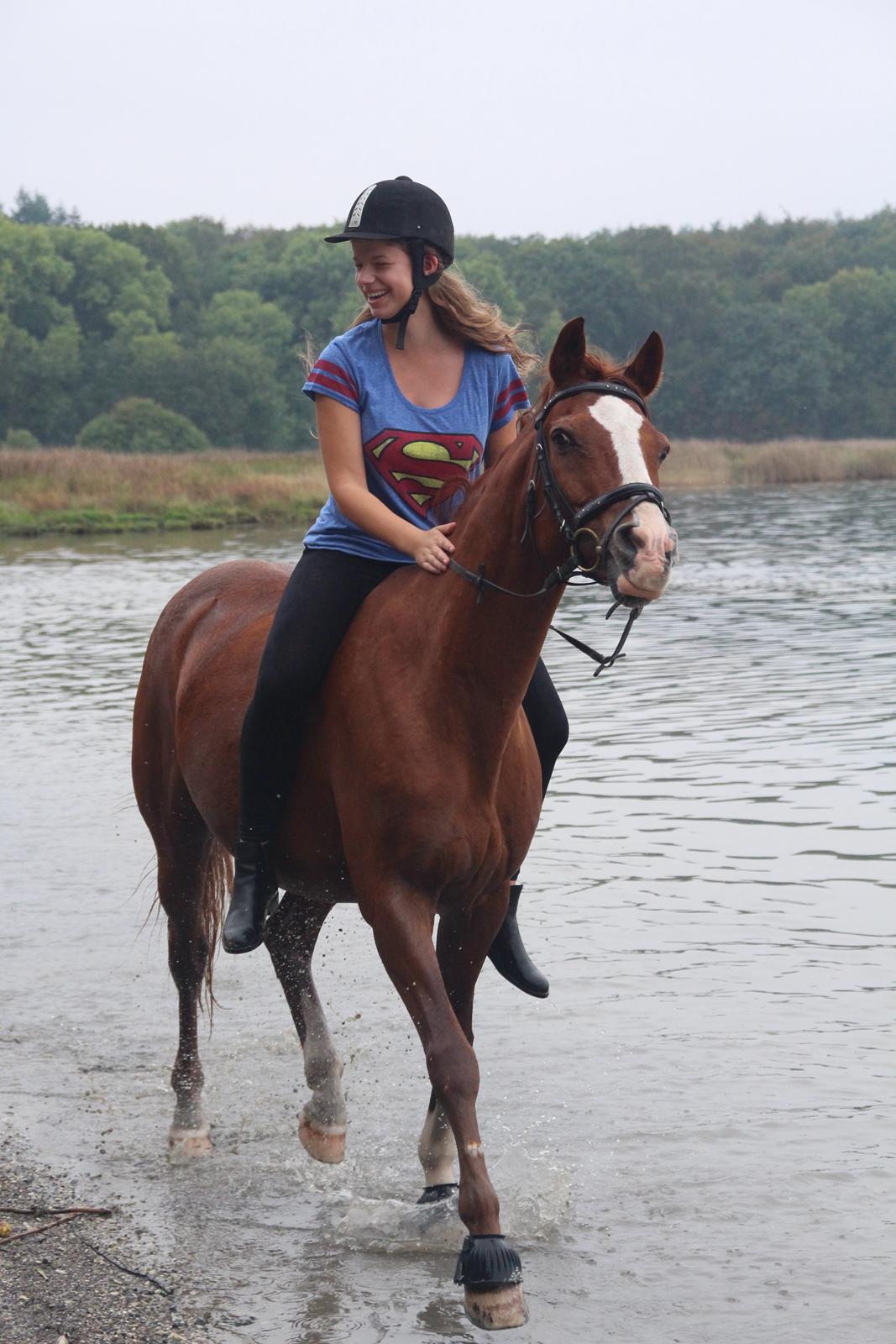 Anden særlig race O'malley (Malle) - He is my little Superman! <3 billede 4