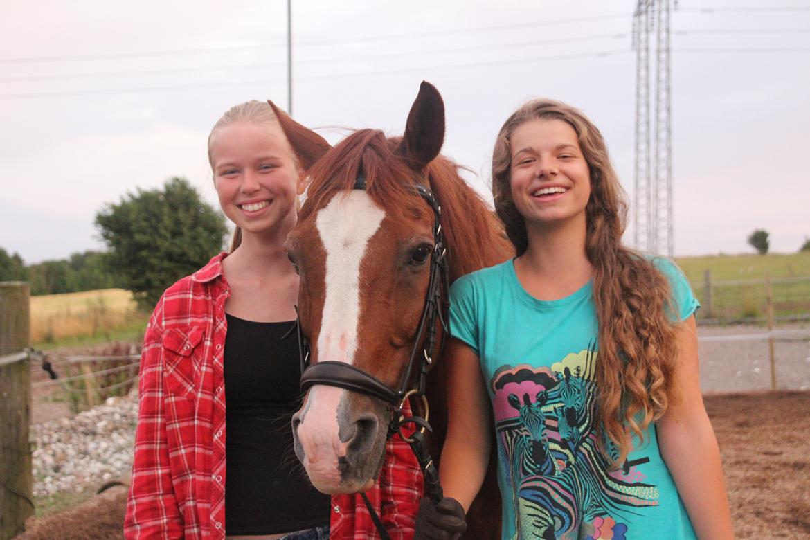 Anden særlig race O'malley (Malle) - Friends forever! billede 8