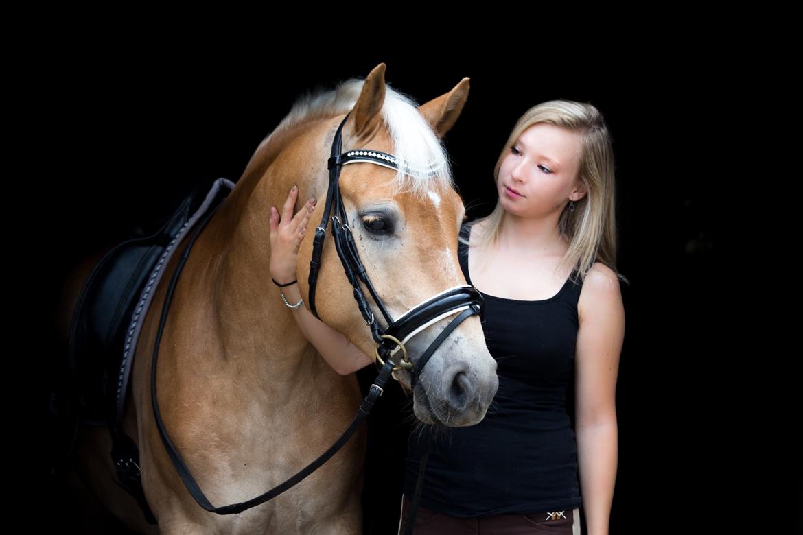 Haflinger Amazing Grace - Smukke dyr :-) billede 4